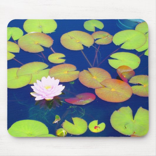 Rosa Lotos-Blume, die mit Lilienauflagen auf Teich Mousepad (Vorne)