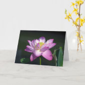 Rosa Lotos-Blume Karte (Gelbe Blume)