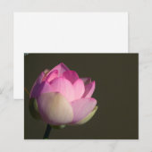 Rosa Lotus Ankündigungspostkarte (Vorne/Hinten)