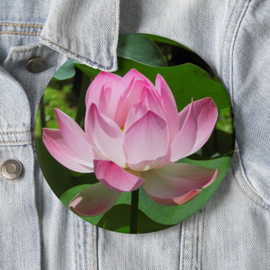 Rosa Lotus Bloom Button (Beispiel)