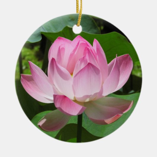 Rosa Lotus Bloom Keramikornament (Vorne)