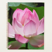 Rosa Lotus Bloom Planer (Vorderseite)