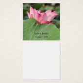 Rosa Lotus-Blume (Vorne & Hinten)