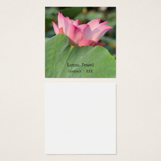 Rosa Lotus-Blume (Vorne & Hinten)