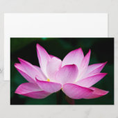 Rosa Lotus-Blume Briefpapier (Vorne/Hinten)