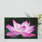Rosa Lotus-Blume Briefpapier (Stehend Vorderseite)
