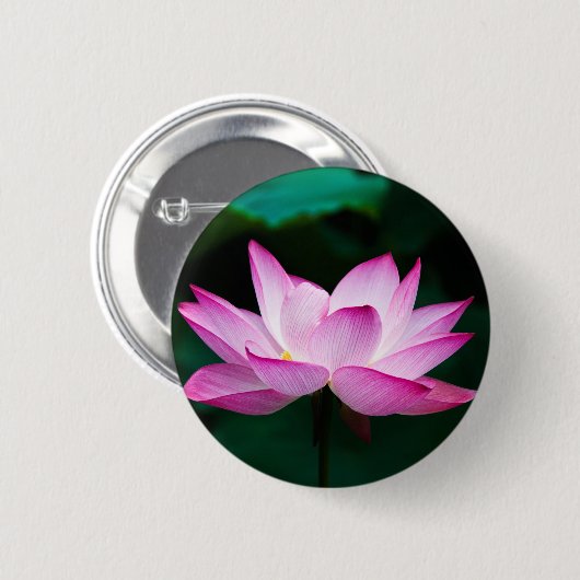Rosa Lotus-Blume Button (Vorne & Hinten)