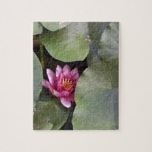 Rosa Lotus Blume Foto Puzzle mit Geschenkboxen