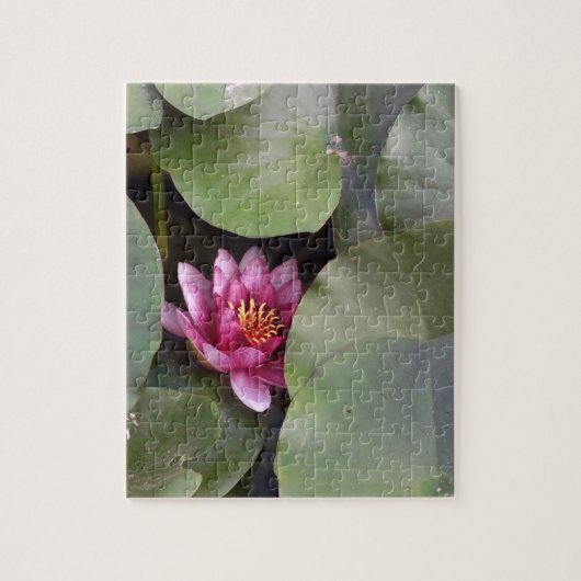 Rosa Lotus Blume Foto Puzzle mit Geschenkboxen (Vertikal)