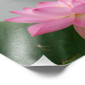 Rosa Lotus-Blume Fotodruck (Ecke)