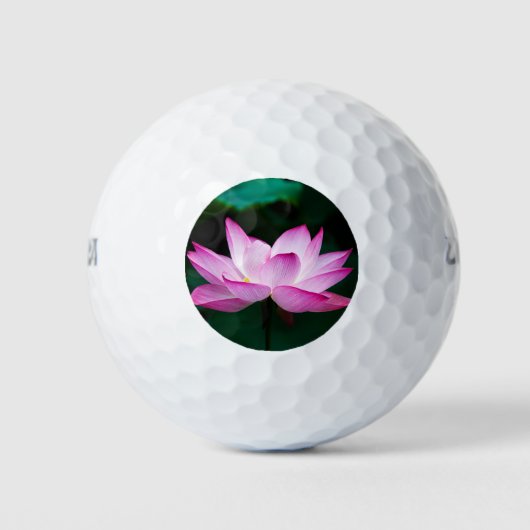 Rosa Lotus-Blume Golfball (Vorderseite)