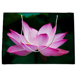 Rosa Lotus-Blume Große Geschenktüte