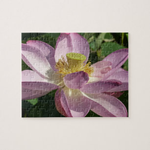 Rosa Lotus Blume II Sommerblume Puzzle