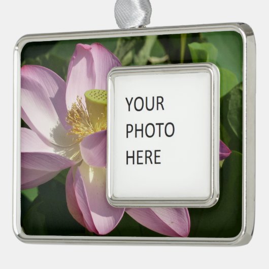 Rosa Lotus Blume II Sommerblume Rahmen-Ornament Silber (Links)