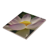 Rosa Lotus Blume III Sommer-Blütenzeit Fliese (Seite)