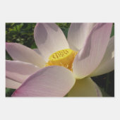 Rosa Lotus Blume III Sommer-Blütenzeit Geschenkpapier Set (Vorderseite 3)