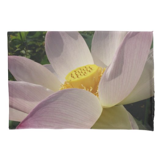 Rosa Lotus Blume III Sommer-Blütenzeit Kissenbezug (Vorderseite)