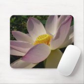 Rosa Lotus Blume III Sommer-Blütenzeit Mousepad (Mit Mouse)