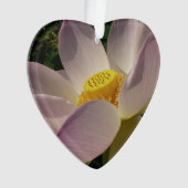 Rosa Lotus Blume III Sommer-Blütenzeit Ornament (Vorderseite)