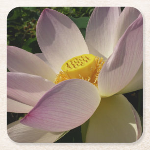 Rosa Lotus Blume III Sommer-Blütenzeit Rechteckiger Pappuntersetzer