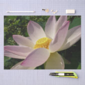 Rosa Lotus Blume III Sommer-Blütenzeit Seidenpapier (Handwerk)