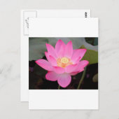 Rosa Lotus-Blume im Blut Postkarte (Vorne/Hinten)