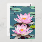 Rosa Lotus-Blume im Wasser Postkarte (Vorne/Hinten)