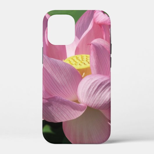 Rosa Lotus Blume IV Case-Mate iPhone Hülle (Rückseite)