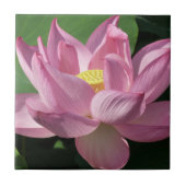 Rosa Lotus Blume IV Fliese (Vorderseite)