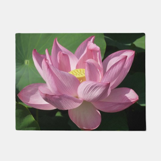 Rosa Lotus Blume IV Fußmatte (Vorderseite)