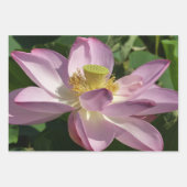 Rosa Lotus Blume IV Geschenkpapier Set (Vorderseite 2)
