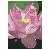 Rosa Lotus Blume IV Klemmbrett (Rückseite)
