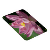Rosa Lotus Blume IV Magnet (Rechte Seite)