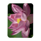 Rosa Lotus Blume IV Magnet (Vertikal)
