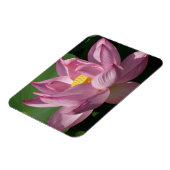 Rosa Lotus Blume IV Magnet (Linke Seite)