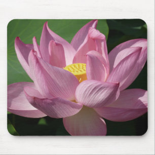 Rosa Lotus Blume IV Mousepad