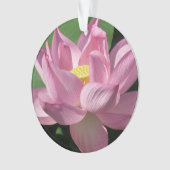 Rosa Lotus Blume IV Ornament (Vorderseite)
