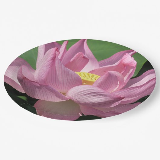 Rosa Lotus Blume IV Pappteller (Schrägansicht)