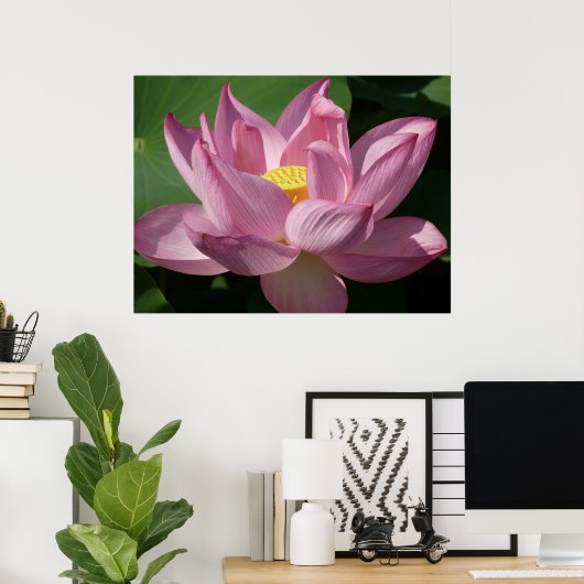 Rosa Lotus Blume IV Poster (Heimbüro)