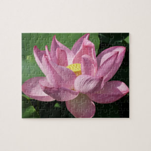 Rosa Lotus Blume IV Puzzle