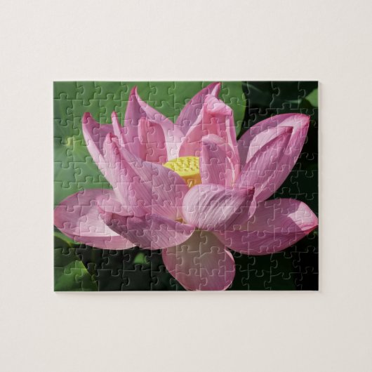 Rosa Lotus Blume IV Puzzle (Horizontal)