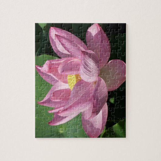 Rosa Lotus Blume IV Puzzle (Vertikal)
