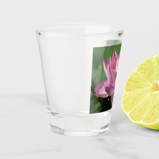 Rosa Lotus Blume IV Schnapsglas (Links)