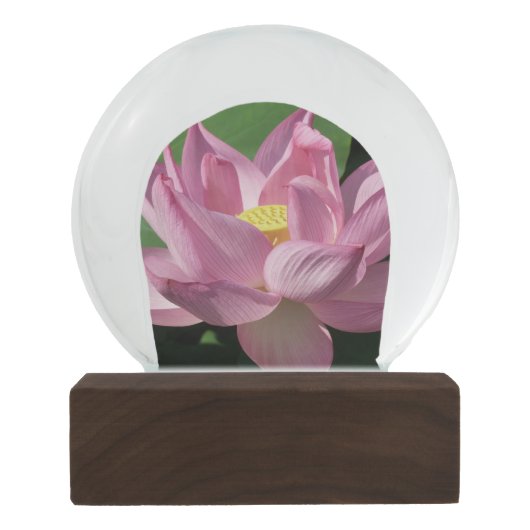 Rosa Lotus Blume IV Schneekugel (Rückseite)