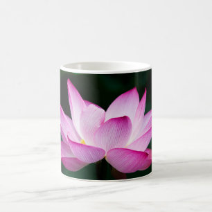 Rosa Lotus-Blume Kaffeetasse