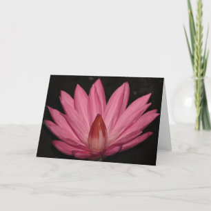 Rosa Lotus-Blume Karte