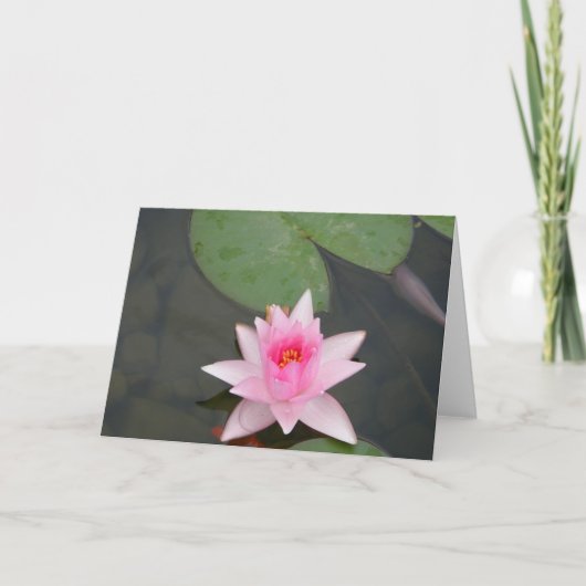 Rosa Lotus-Blume Karte (Vorderseite)