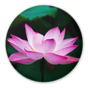 Rosa Lotus-Blume Keramikknauf