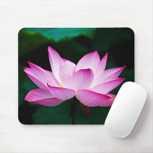 Rosa Lotus-Blume Mousepad (Mit Mouse)