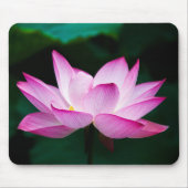 Rosa Lotus-Blume Mousepad (Vorne)